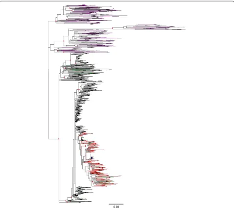 Figure 3 Maximum likelihood tree for cloned sequences in the E1-E2 region. The tree includes 4,184 sequences from a 406-nucleotide (nt)fragment of the E1-E2 region including hypervariable region (HVR)1 and HVR2