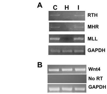 Fig. S5 in the supplementary material).