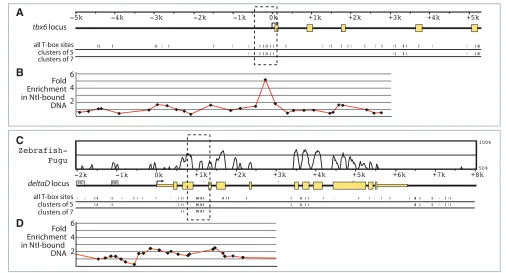 Table 1. Embryo counts for transient transgenesis assays