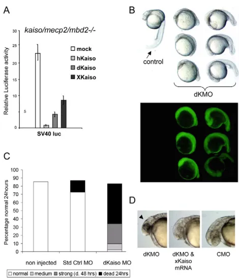 Fig. S2B in the supplementary material. It is notable that ZF3 in
