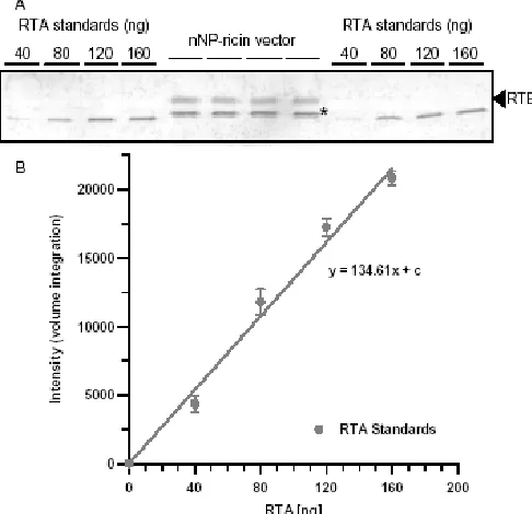 Fig. 5: Sensitivity of MC57 cells challenged with either nNP-ricin or wild type ricin.concentrations of either nNP-ricin (37ºC