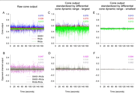 Figure 2 Neural opponent interactions between cone outputs do not produce flicker-free visual signal