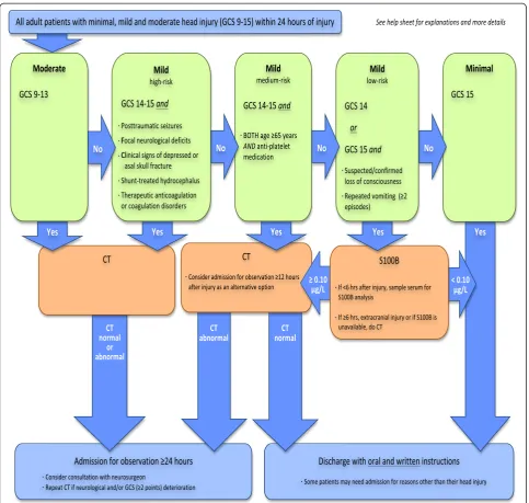 Fig. 1 Scandinavian Neurotrauma Committee guidelines [19]