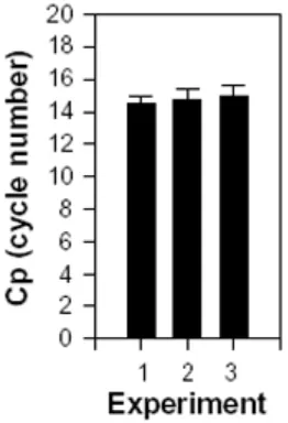 Fig. 2: Reproducibility of internal control.  As an internal control, β2-microglobulin was amplified in three independent but identical experiments with 13 separate measurements on each cDNA