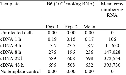 Fig. 4: Detection of B6 mRNA. microglobulin was constant in all test materials whereas the amount of B6 mRNA increased over time