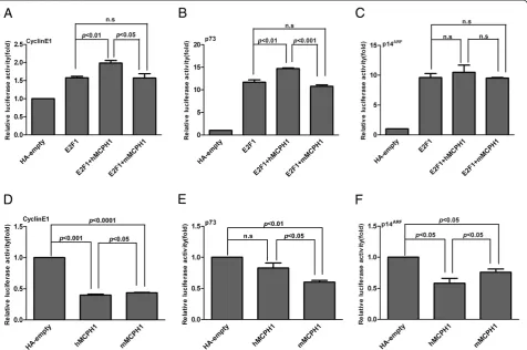 Figure 3 Comparison ofpromoter. (between MCPH1 enhancing and repressing effects between humans and macaques