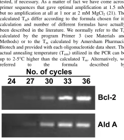 Fig.2:amplification product increased up to 36 cycles, whereasDeterminationoftheexponentialrangeofamplification for Bcl-2 and Aldolase A
