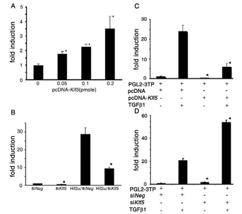Fig. 8. Transcriptional regulation of Vegfaand control negative siRNA was used as empty control