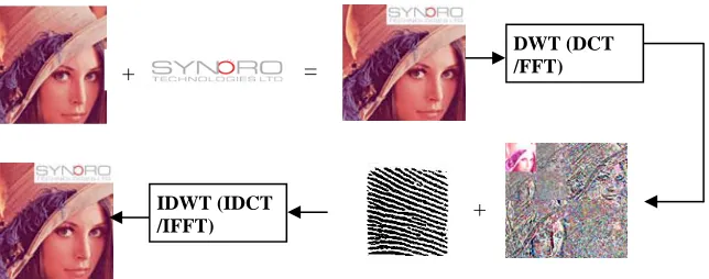 Figure 2.  Spatial and Frequency domain watermarking 