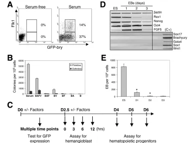 Fig. 1. Transition from ES cells to