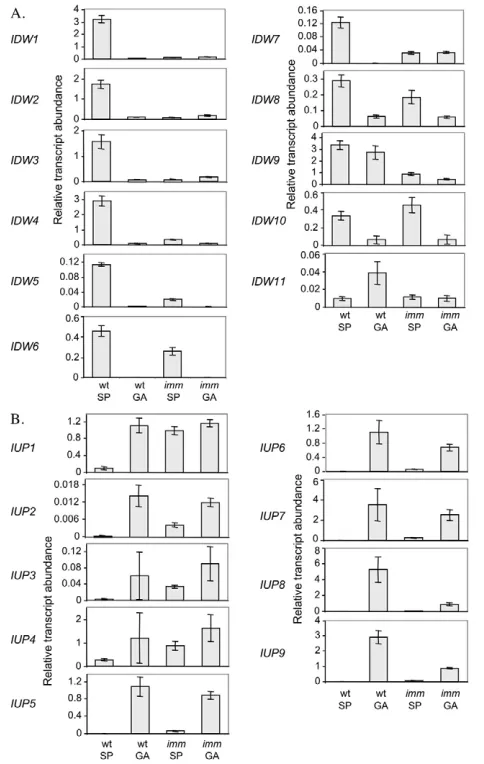 Fig. 8. Quantitative PCR analysis of the abundances of genetranscripts in young partheno-sporophytes and gametophytes ofboth the wild type and the imm mutant strain