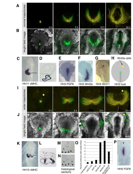 Fig. 2. See next page for legend.