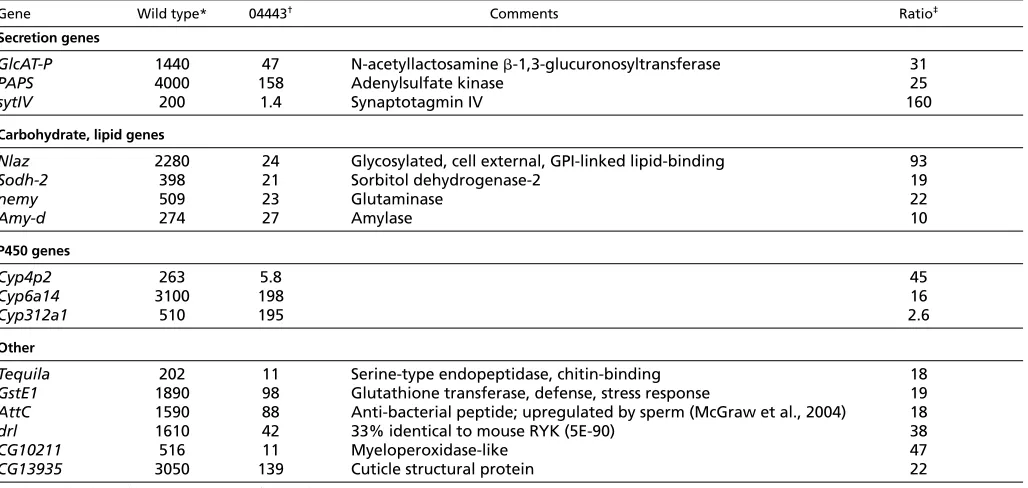 Table 2. Genes highly expressed in spermathecae (SP)