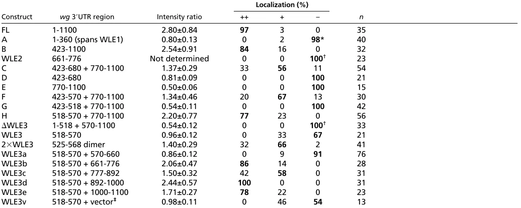 Table 3. WLE3 mediates apical transcript localization in transgenic reporter constructs
