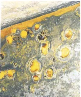 Fig. 20.  Bacterial corrosion   (Source: DNV paper series No.2000-P008. p.15)  