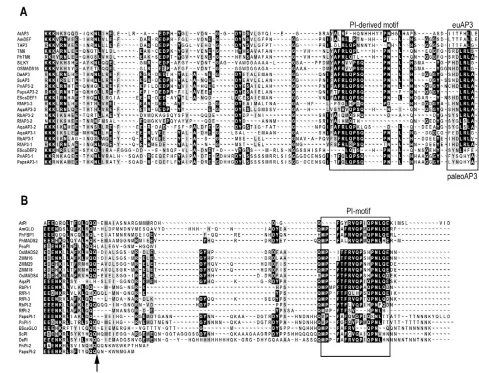 Fig. 2. Sequence alignment of P. somniferumproteins from core eudicots, monocots and basal eudicots