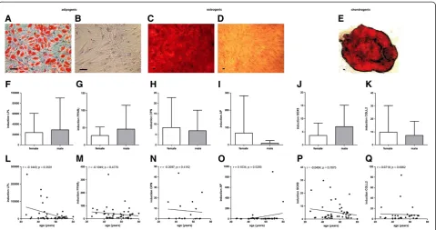Figure 6 Mesodermal differentiation potential of MSCs.Spearman two-tailed correlation test