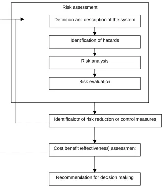 Figure 3.1 General procedure of the risk-based approach 