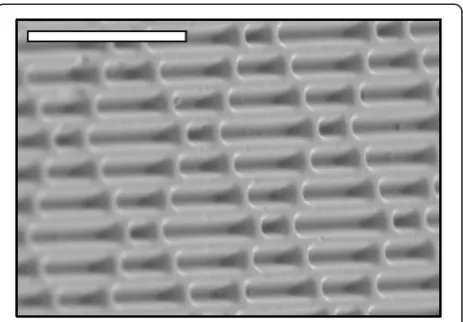 Figure 1 Scanning electron micrograph of Sharkletmicro-patterned (MP) acrylic material