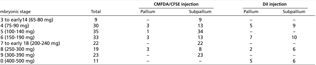 Table 1. Number of turtle forebrain slices that received cell tracker (CMFDA or CFSE) or DiI placements into the subpallium orpallium at each embryonic stage