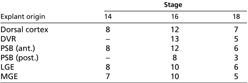 Table 2. Embryonic stage and origin of turtle forebrainexplants cultured on laminin