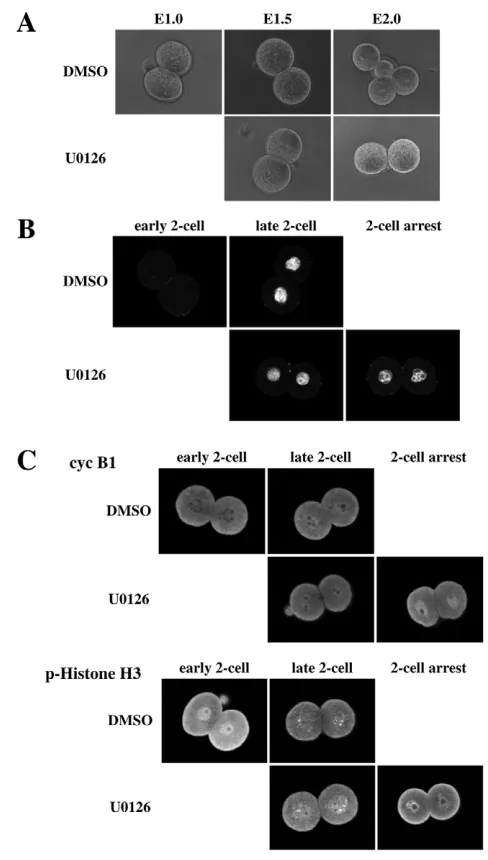 Fig. 5C). These probe sets included genes encoding NANOG and