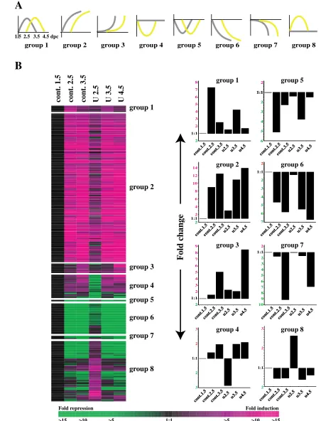 Fig. 6. Genes whose expression profiles closely parallel the stages of embryonic development