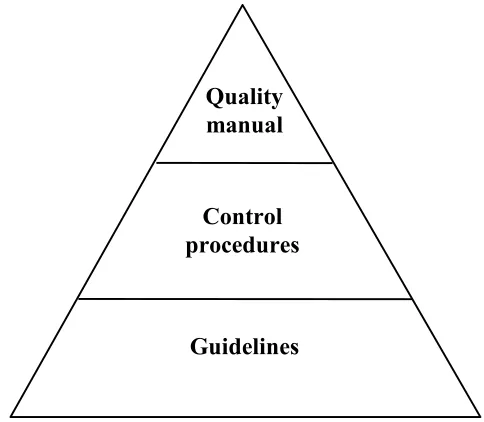 Figure 2: The pyramid of QMS documentation of VR