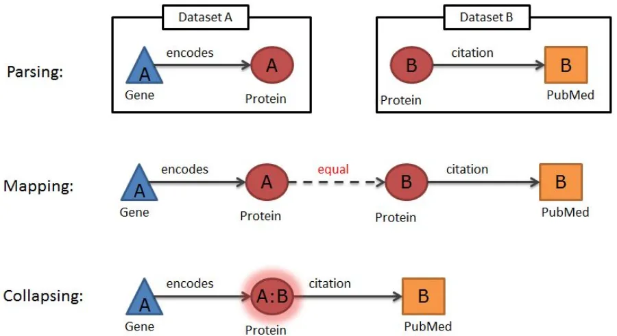 Figure 3.2: The Ondex workflow involves parsing, mapping and collapsing the data. Ondex             