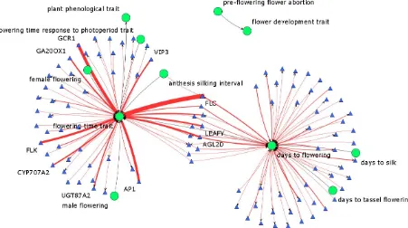 Figure 4.8: Weighted association network of Trait Ontology concepts (green circles) and 