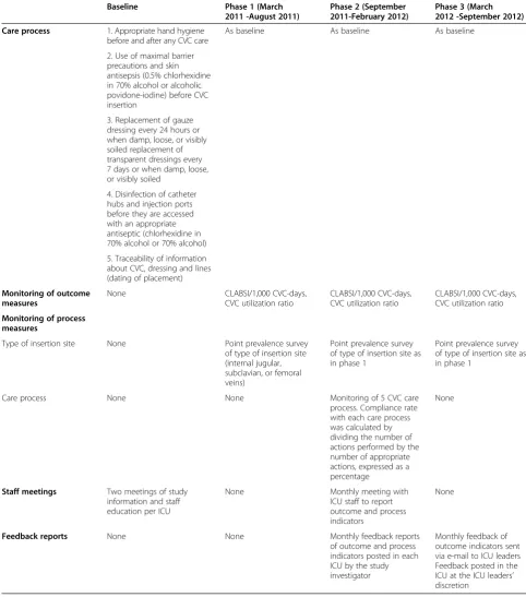 Table 1 Description of the central line infection control program