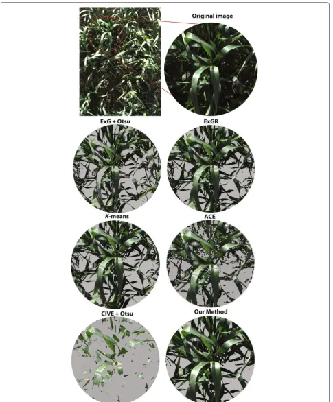 Fig. 7  An example of vegetation segmentation by ExG, ExGR, CIVE, ACE, K‑means, and our method