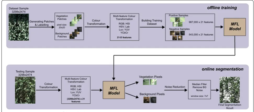 Fig. 1 Schematic representation of the method