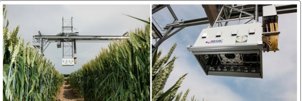 Fig. 2 Field Scanalyzer. (Left) The Field Scanalyzer phenotyping platform at Rothamsted Research showing (Right) the cameras within the camera bay directed down, perpendicular to the ground