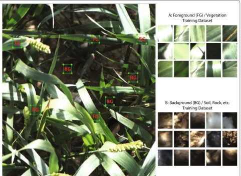 Fig. 3 Training patches. Examples images from foreground (FG) and background (BG) training patches in various illumination conditions