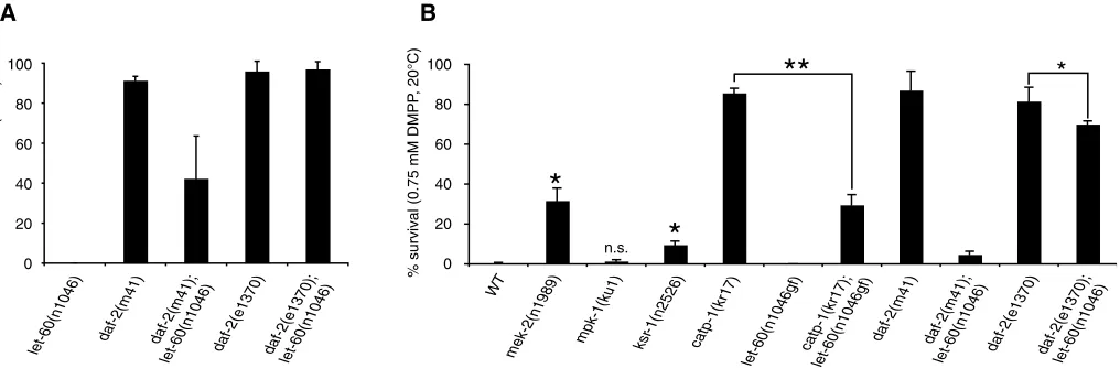 Fig. 7. DAF-2 and CATP-1 interact with the Ras-MAPK signaling pathway. (individuals). daf-2(m41)dauer formation (*represent s.e.m