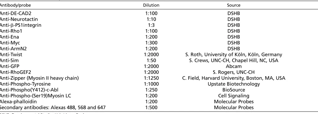 Table 1. Antibodies and probes