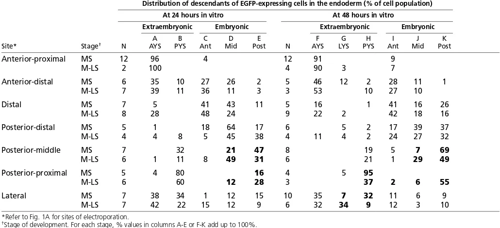 Table 1. Distribution of GFP-expressing cells in the endoderm of embryos cultured for 24 hours or 40-44 hours afterelectroporation