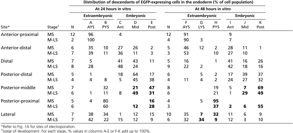Table 1. Distribution of GFP-expressing cells in the endoderm of embryos cultured for 24 hours or 40-44 hours afterelectroporation