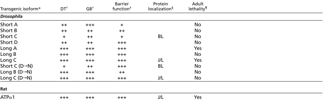 Table 1. Transgenic rescue of ATP� mutant phenotypes by wild-type and mutant �-isoforms