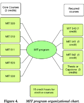 Figure 4. MIT program organizational chart. 