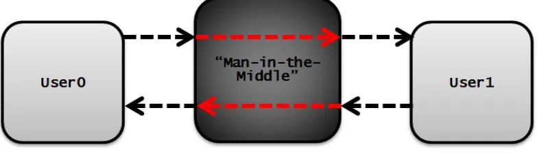 Figure 2.9: MITM Software Security Attack Model