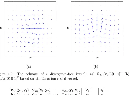 Figure 1.3:The columns of a divergence-free kernel: 