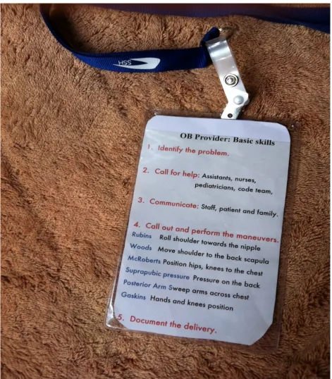 Figure C1 Lanyards 