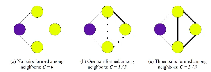 Figure 10.  Graphical representation of local clustering coefficient. Image source: Santillán et al