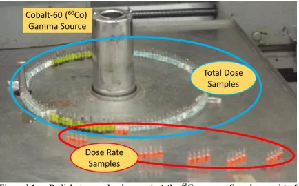 Figure 3.1.  Radiolysis sample placement at the 60Co source. Samples consist of nitrogen heterocycles vacuum sealed in glass ampoules and specifically placed for two separate analyses: total dose (blue/green) and dose rate (red)