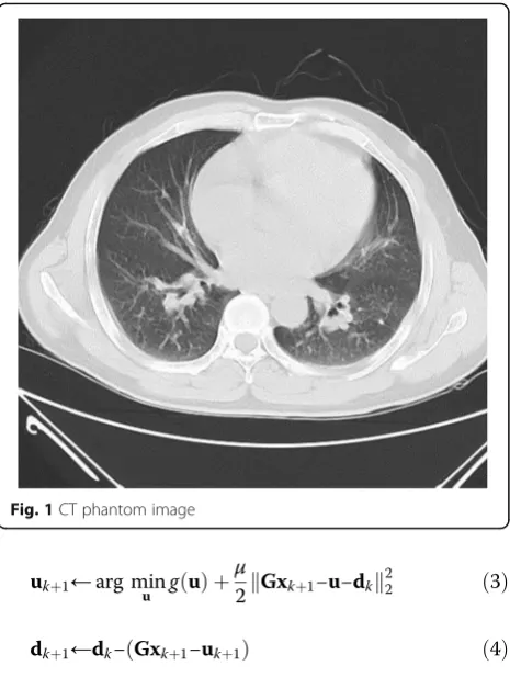 Fig. 1 CT phantom image