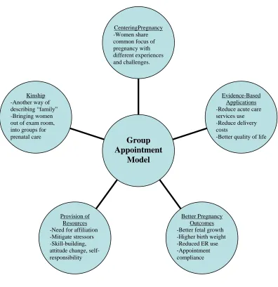 Figure 1: Group Pregnancy Model Diagram 