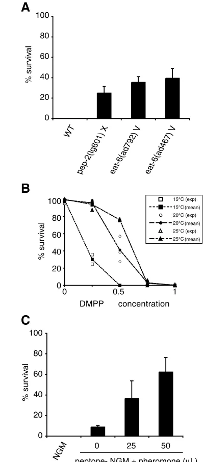 Fig. 6. Environmental modulation of the sensitivity to DMPP. (independent experiments