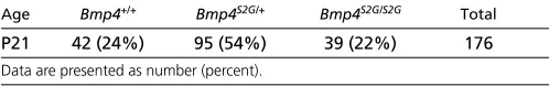 Fig. 2. Reduced PGCs and phosphoSmad staining in Bmp4Bmp4recognizes the phosphorylated forms of SMAD1, 5 and 8